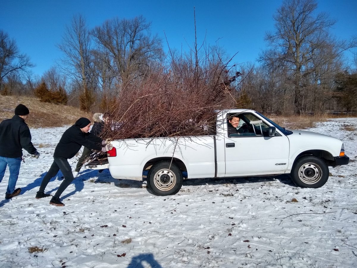 IMG_20200120_120629118_HDR