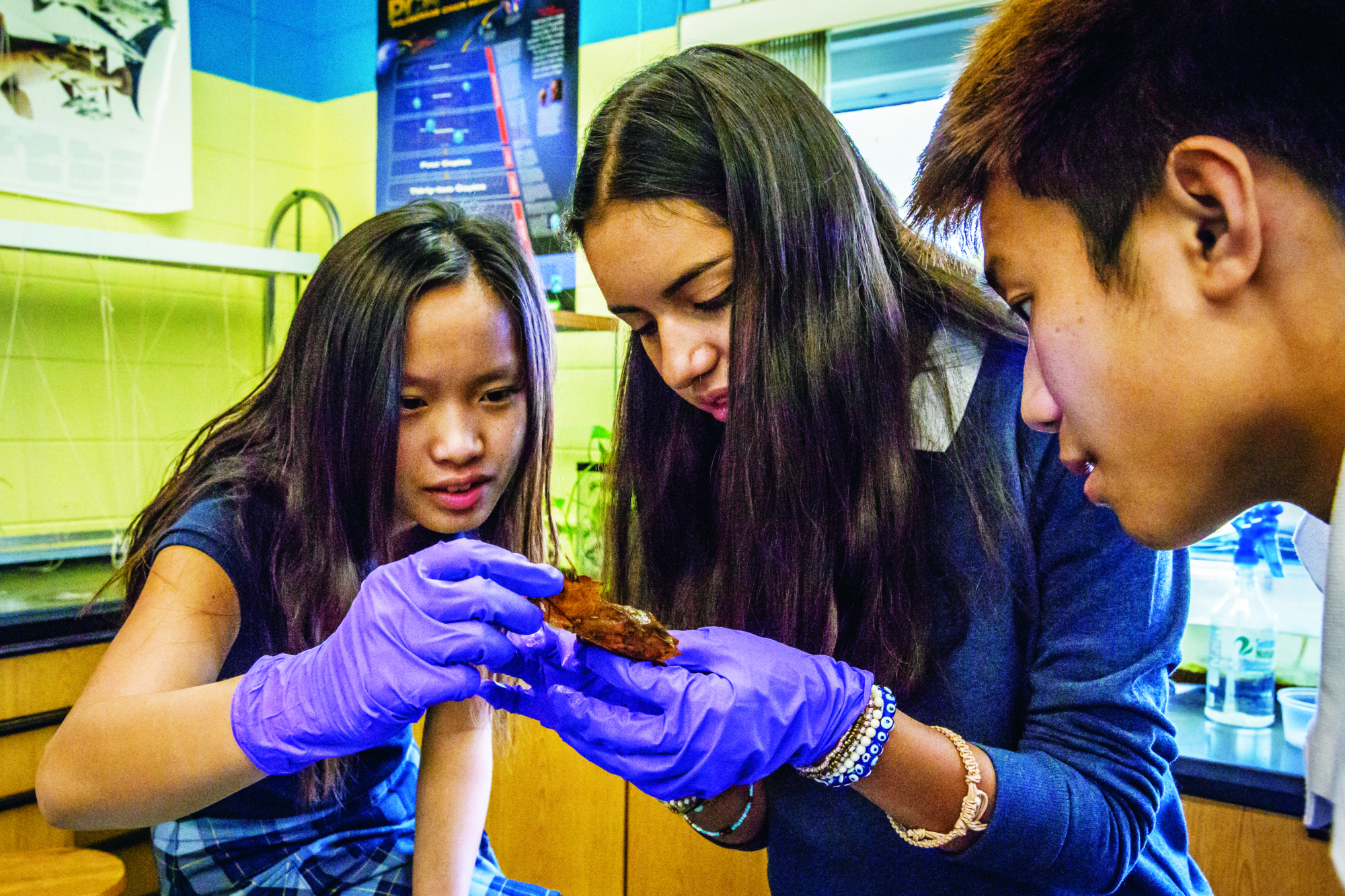 Biology lab — hands on, heads down