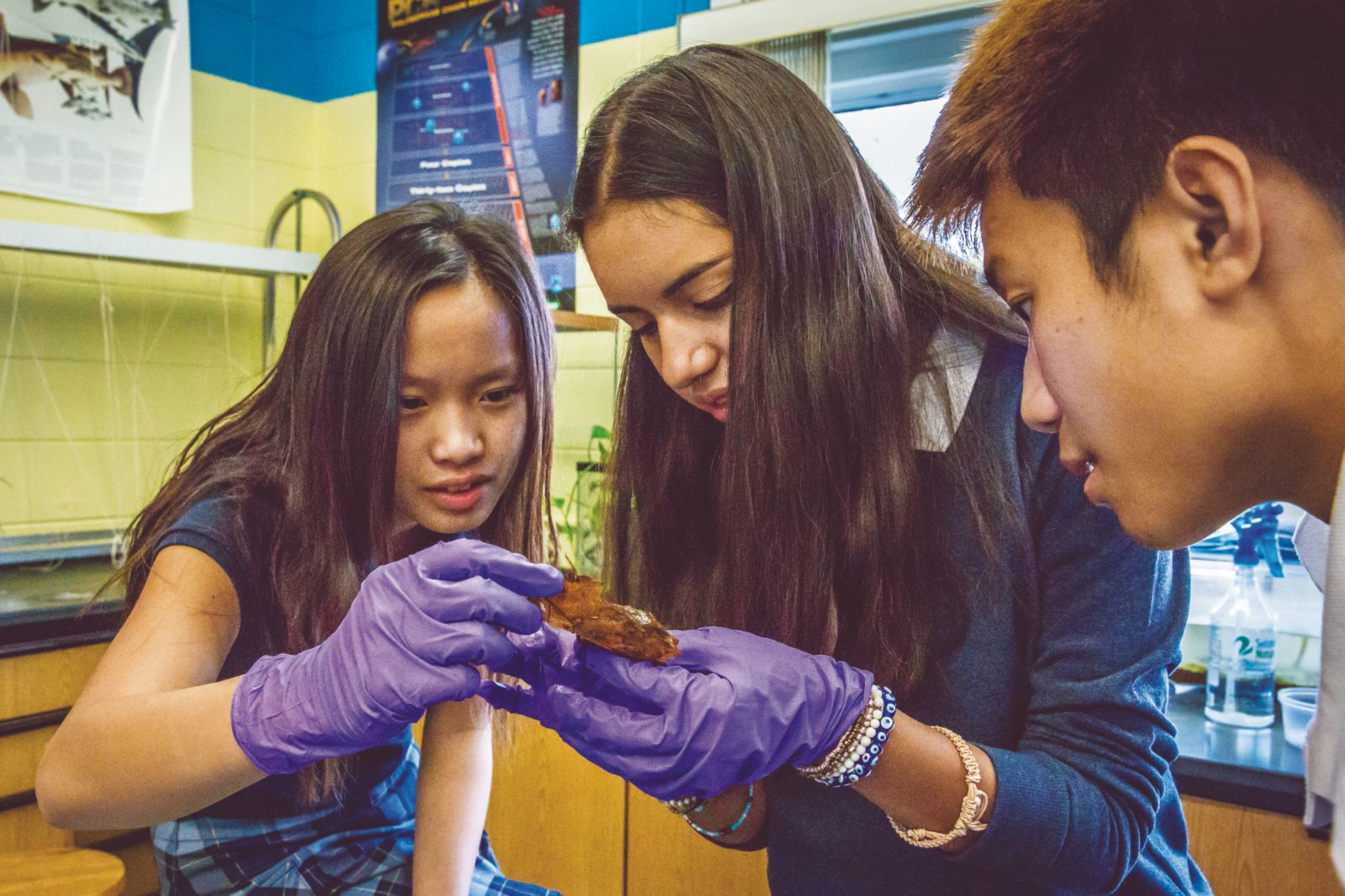 Biology lab — hands on, heads down