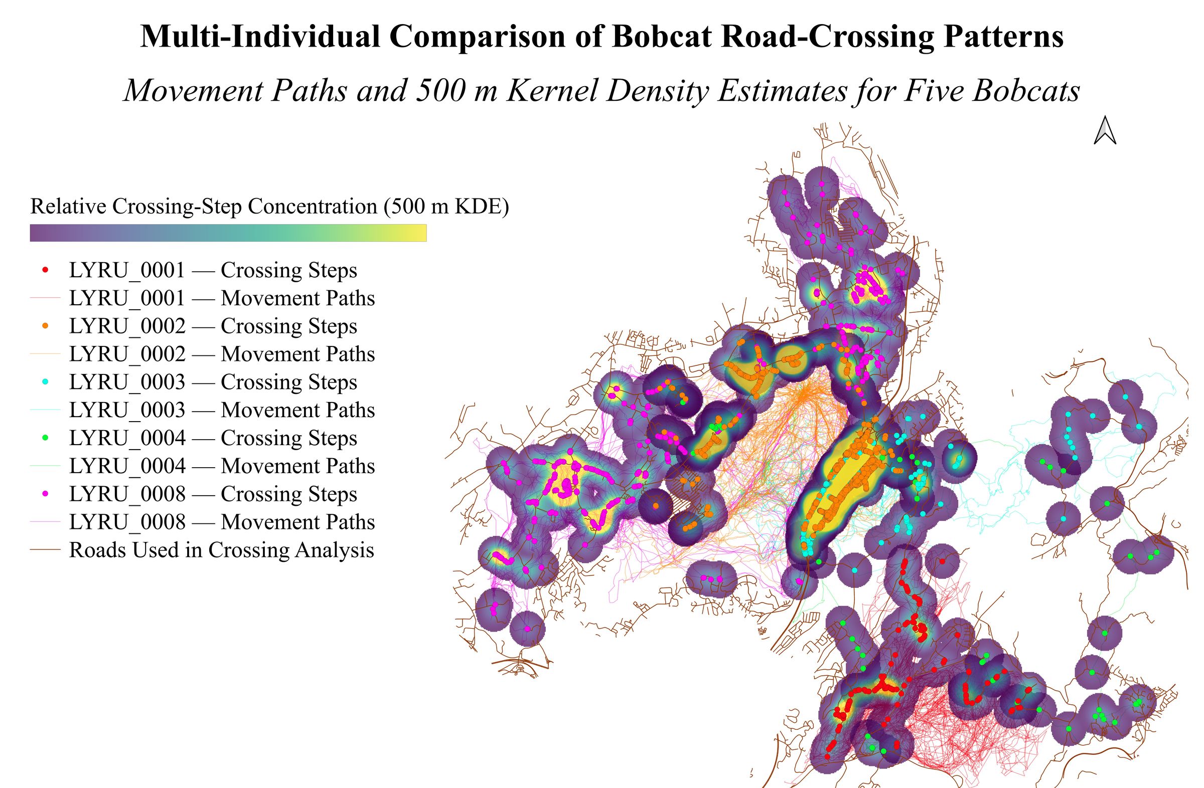 Map comparing the movement paths and inferred road-crossing points of five GPS-collared bobcats around Black Rock Forest, with heat-map shading where crossings concentrate